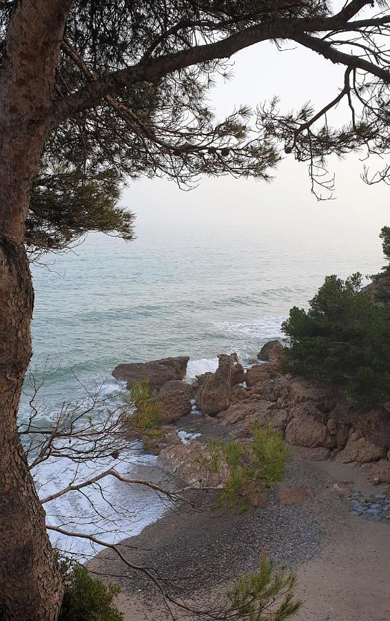 Villa Aquamarina 600 M Vom Meer, Casa In Miami Platja, Ferienhaus Mit Garten, Wlan, Garage, Terrasse, Grill 迈阿密普拉特亚 外观 照片